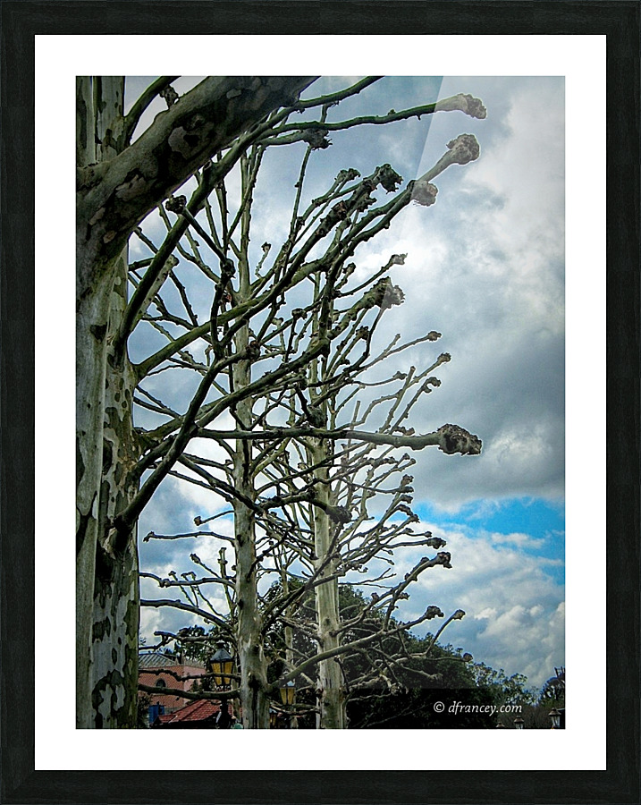  Fine Art print