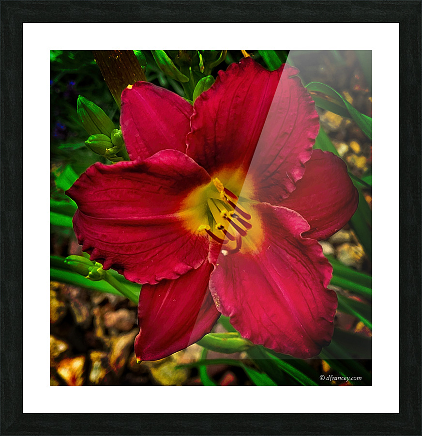  Fine Art print