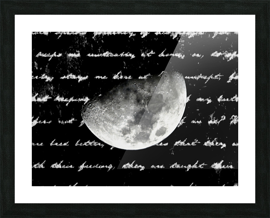  Fine Art print