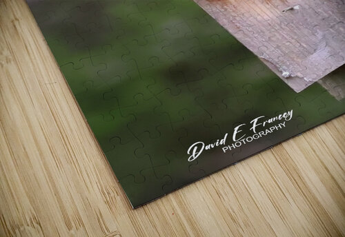 CR5 5699 Photography by Francey puzzle