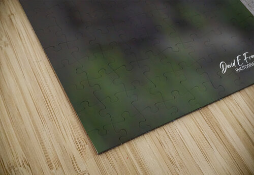 CR5 8111 Photography by Francey puzzle