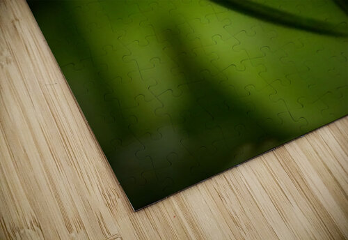 Snail8x11 Photography by Francey puzzle