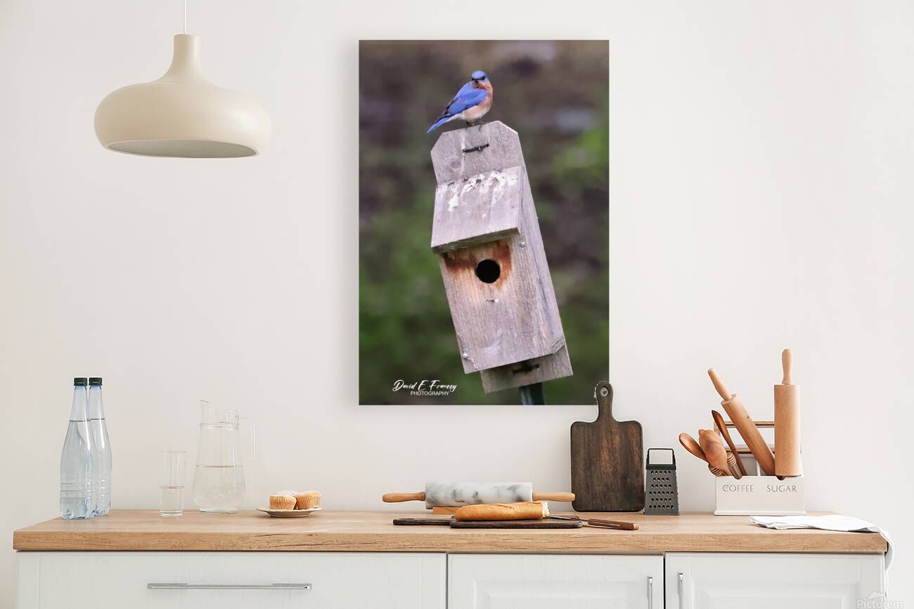 CR5 5699 Reproduction