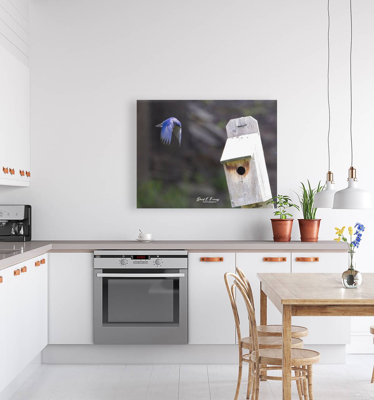 CR5 8111 Reproduction