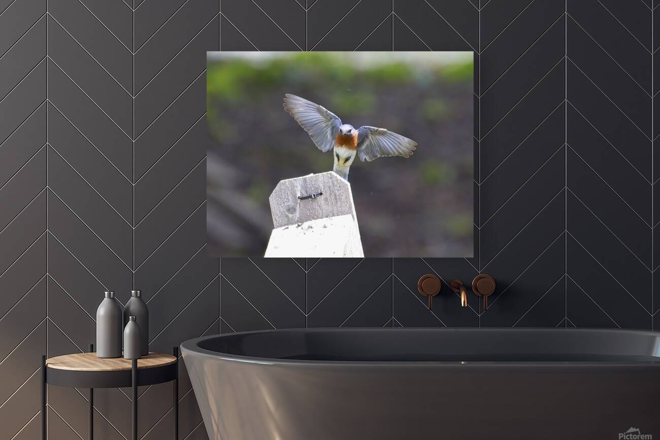 CR5 8076 Reproduction