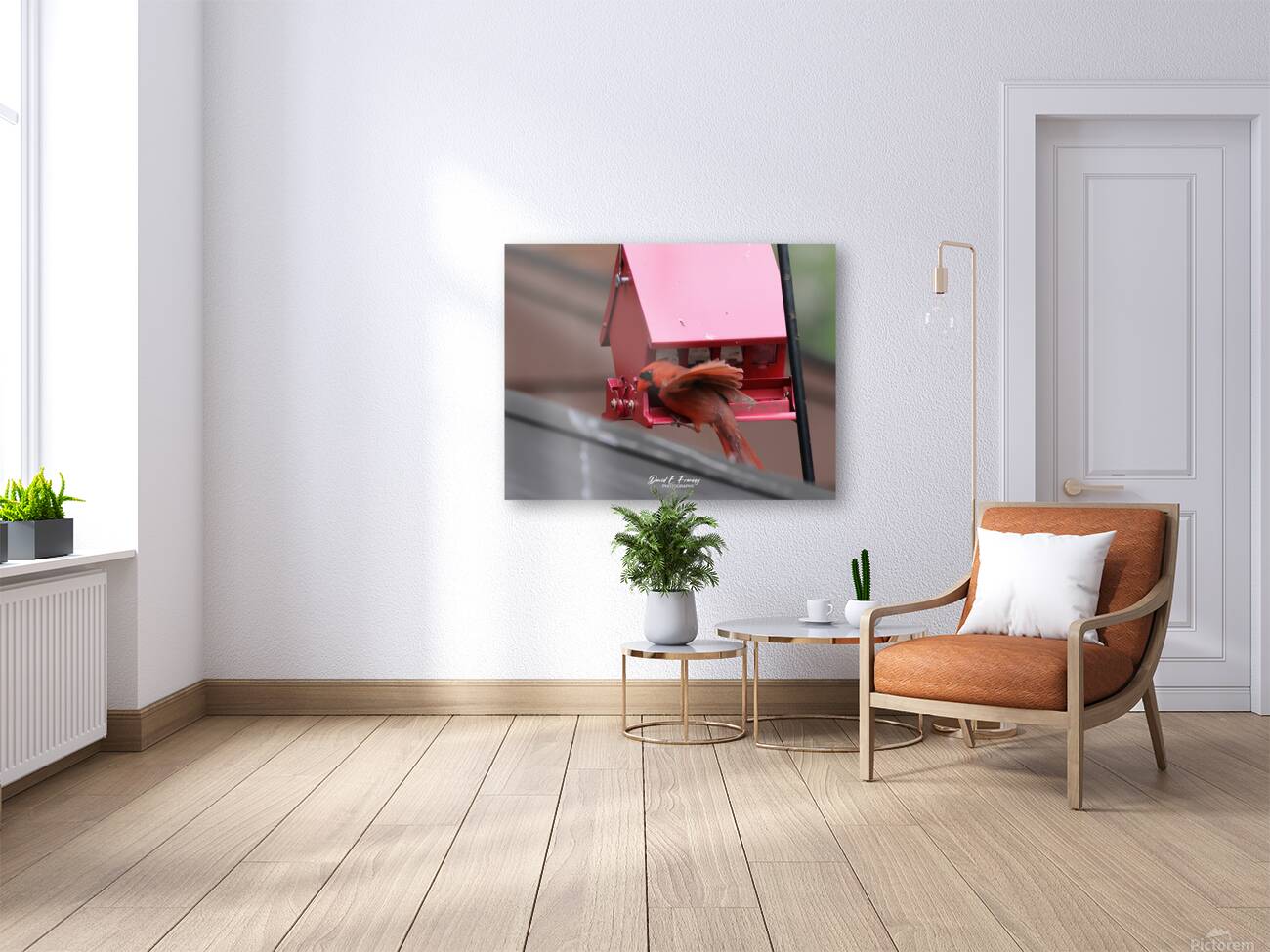 CardinalAtFeederLanding Reproduction