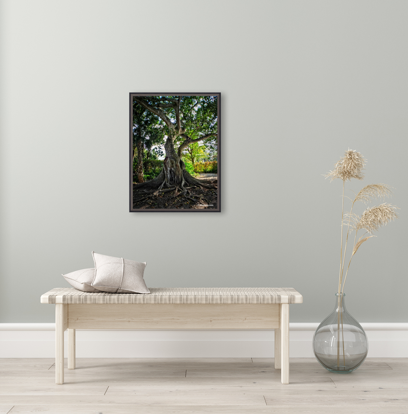 Banyan Tree Reproduction