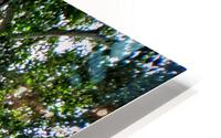 IMG 7274 HD Metal print