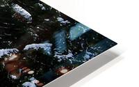 Moose Lake Camp HD Metal print