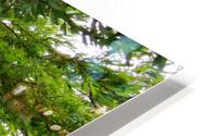 Weeper HD Metal print