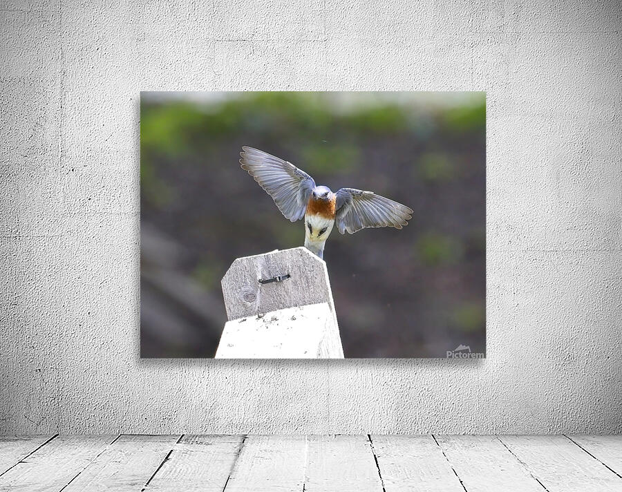 CR5 8076 Wall Preview