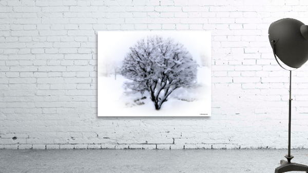 White Tree Wall Preview
