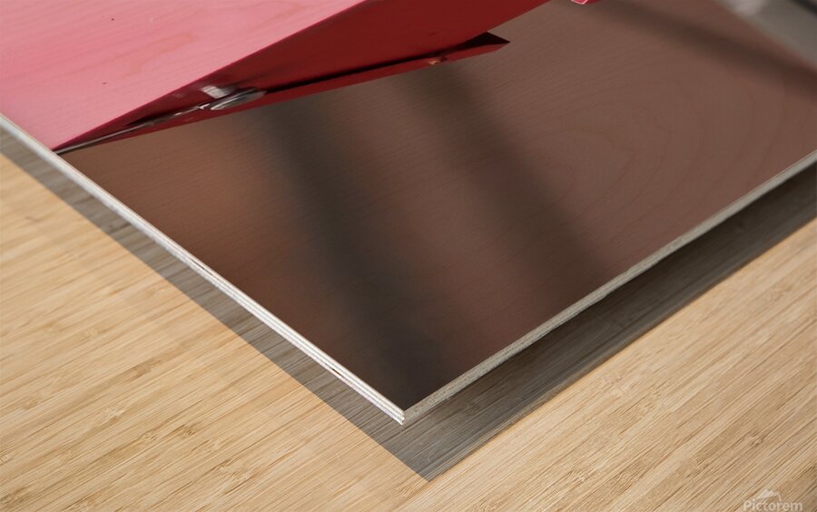 CardinalAtFeederLanding Wood print