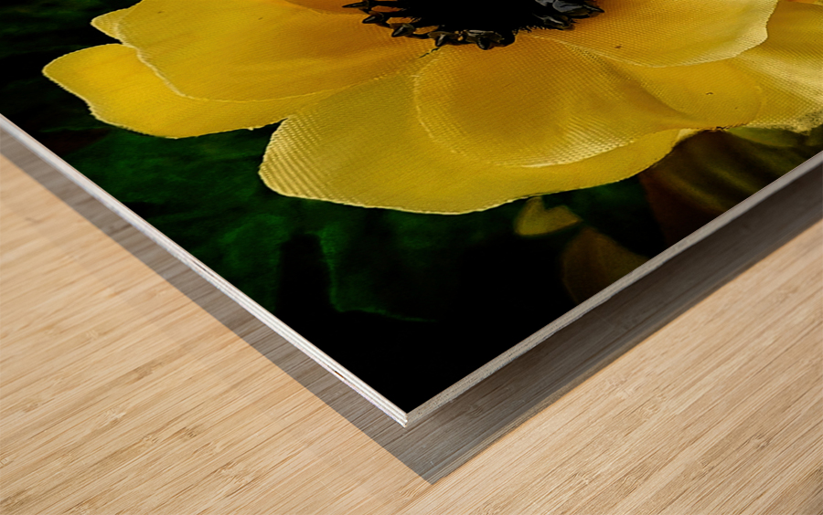 20210712 165003 Wood print