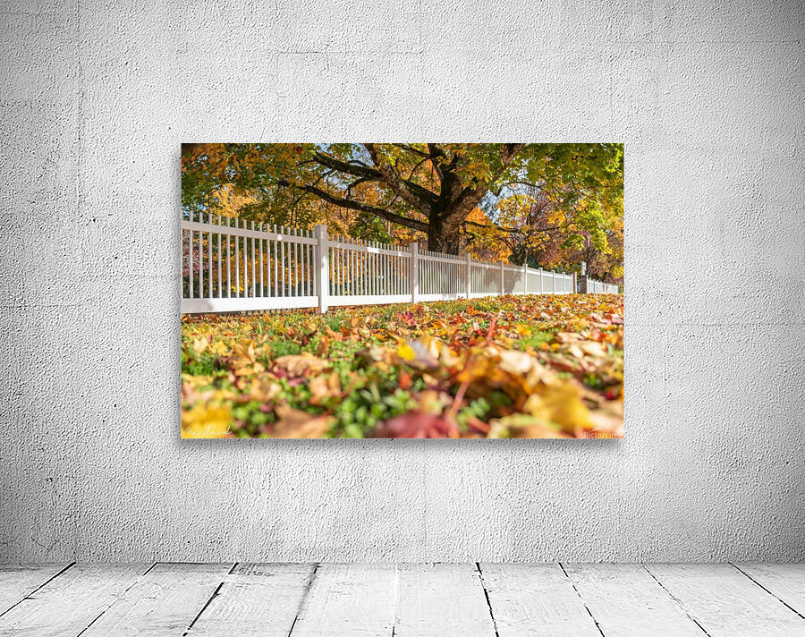 DSC_7158 Wall Preview