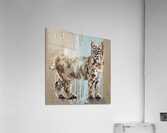 Fragile rage Acrylic Print