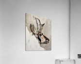 Half great Acrylic Print