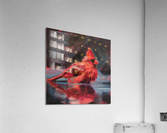 Fading wade Acrylic Print
