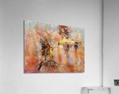 Fiercely tussle Acrylic Print