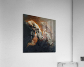 Blasting haze Acrylic Print