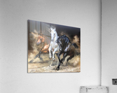 horses Acrylic Print