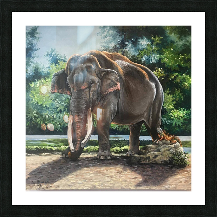 elephant Picture Frame print