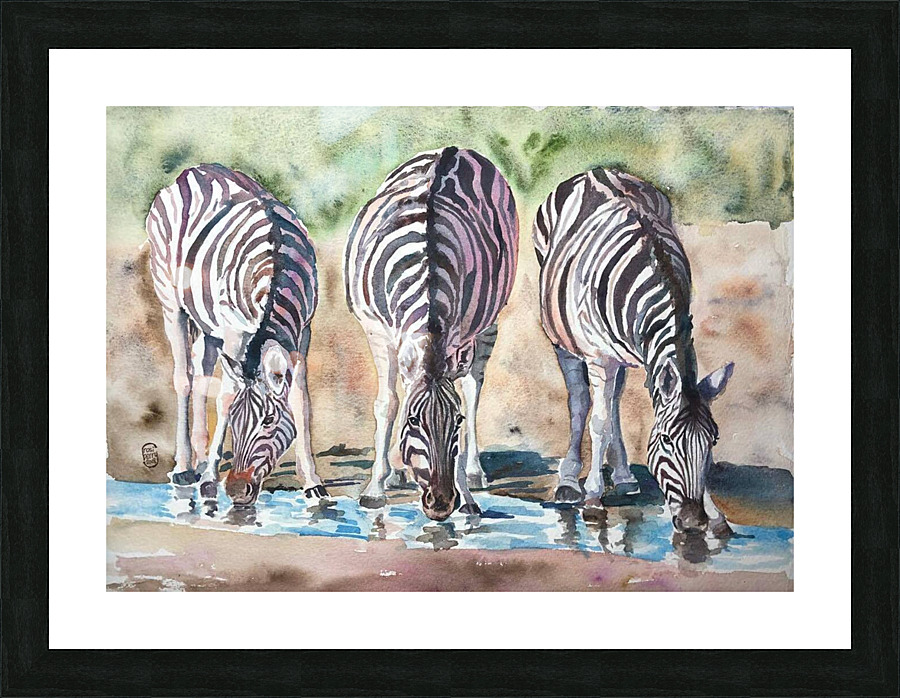 zebras Picture Frame print