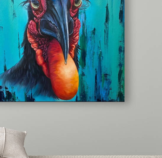 hornbill by TIMMY