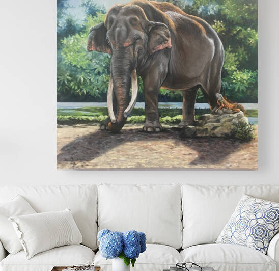 elephant by TIMMY