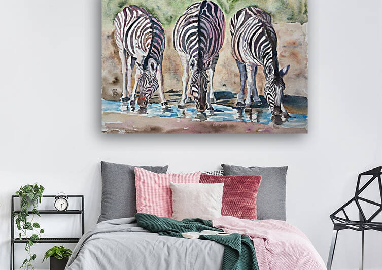 zebras by TIMMY