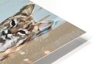 Fragile rage HD Metal print