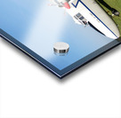 Percival Pembroke Acrylic print