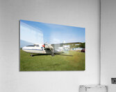 Percival Pembroke Acrylic Print