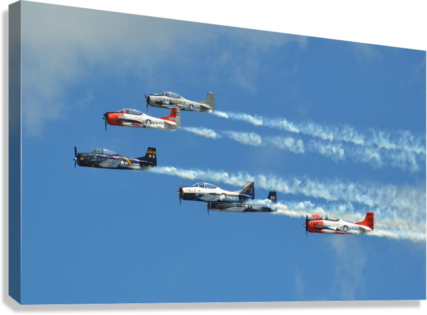 T 28 display team Canvas Print