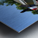 Yakovlev 9UM Metal print