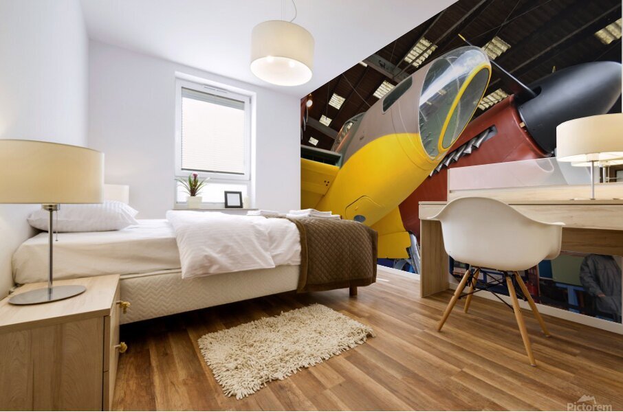 Mosquito prototype W4050 DHAM Mural print