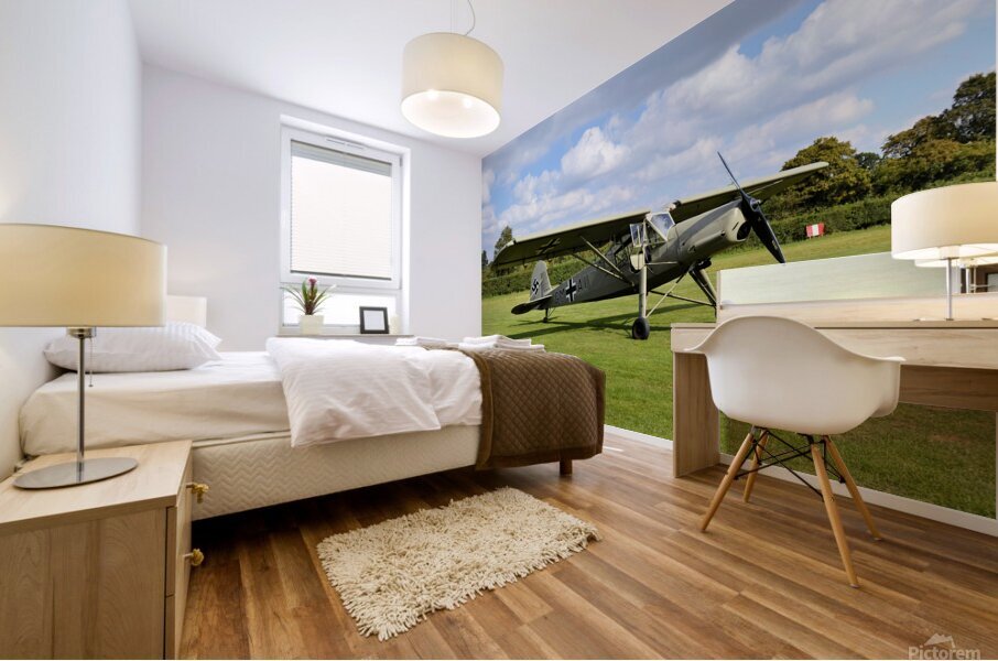 Fieseler Storch Mural print