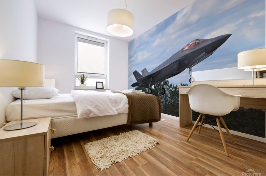  F 35 landing Mural print
