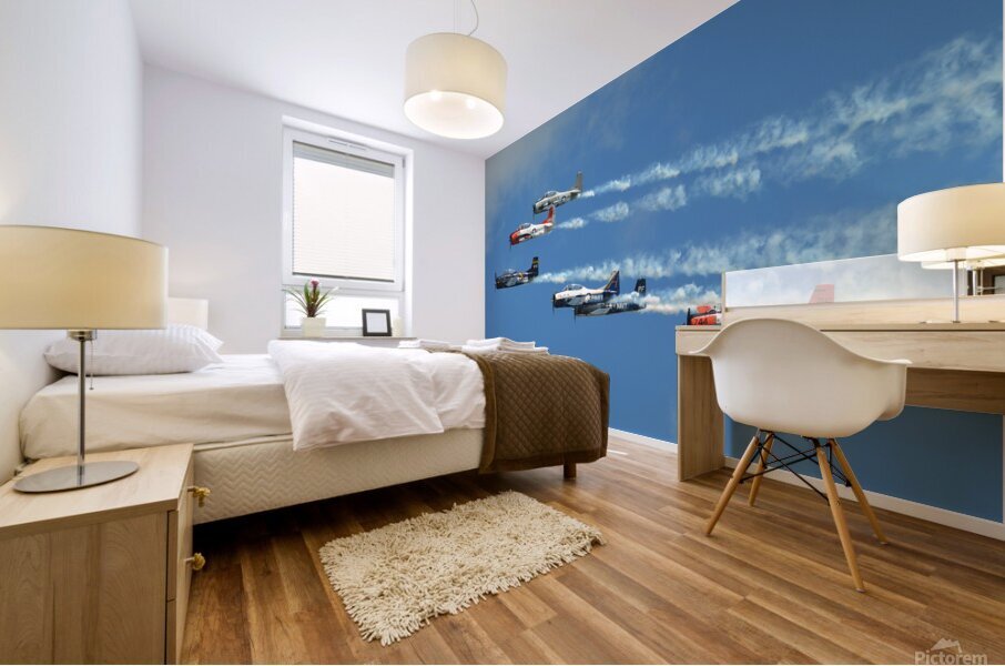 T 28 display team Mural print