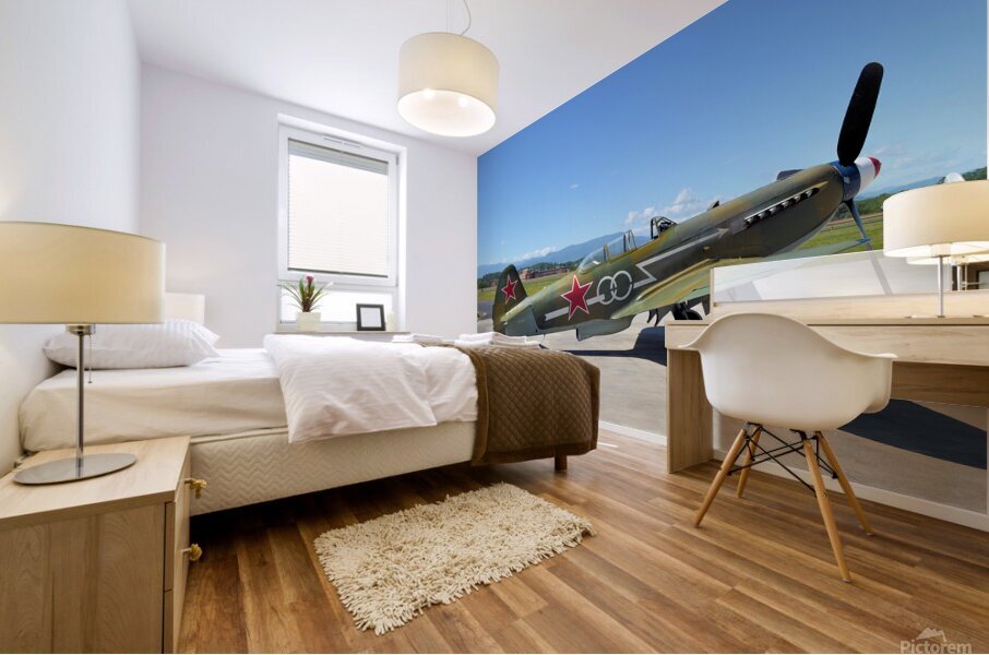 Yak 9UM side view Mural print