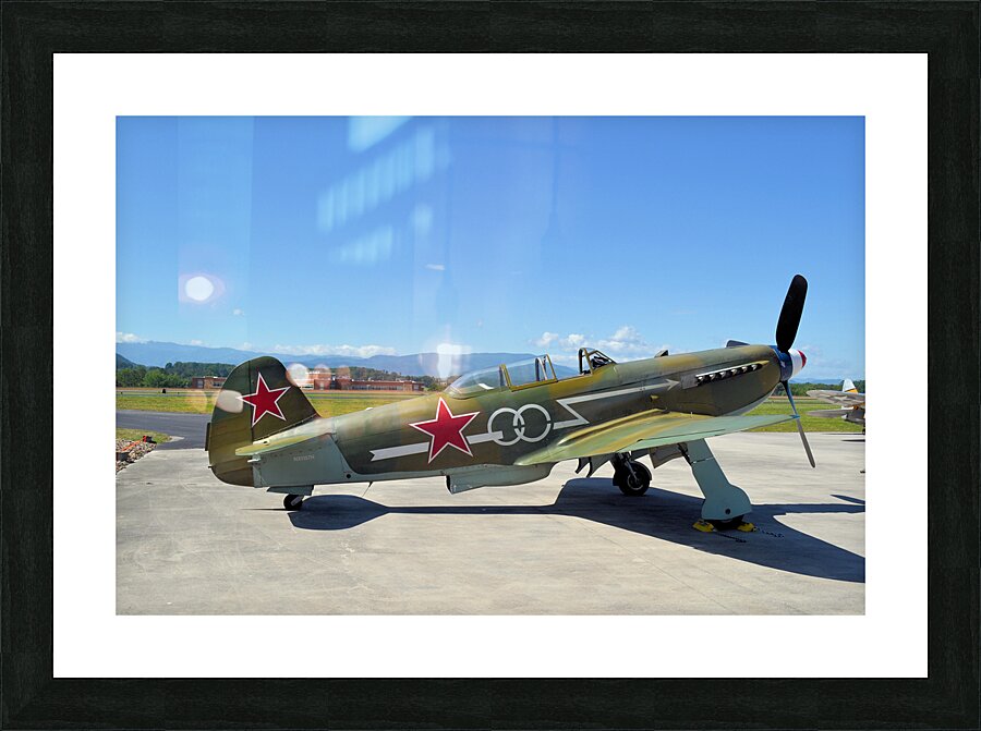 Yak 9UM side view Picture Frame print
