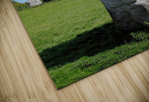 Avebury stone circle Ross Sharp puzzle
