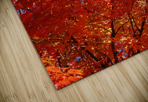 Maple tree close up Ross Sharp puzzle