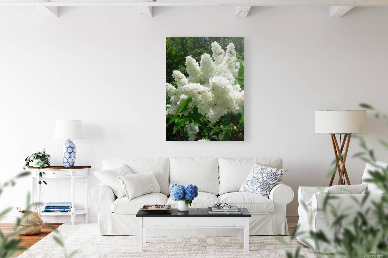 Lilac bush Reproduction