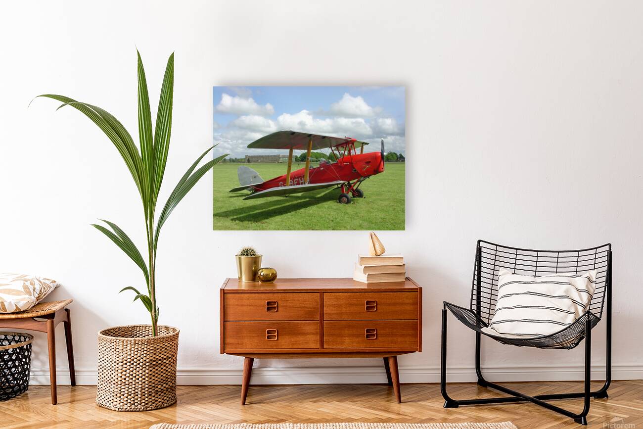 DH82a Tiger Moth Reproduction