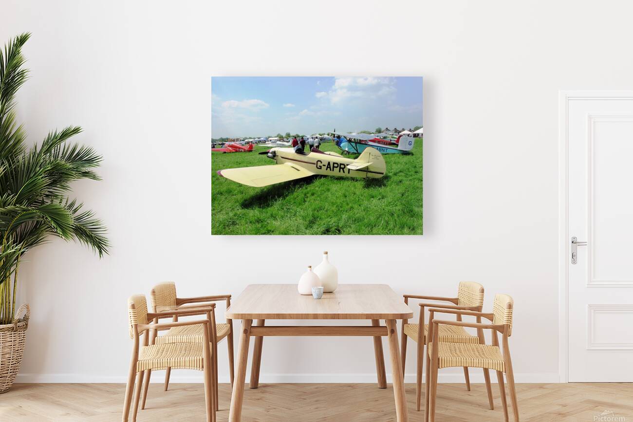 Taylor Mono Plane prototype Reproduction