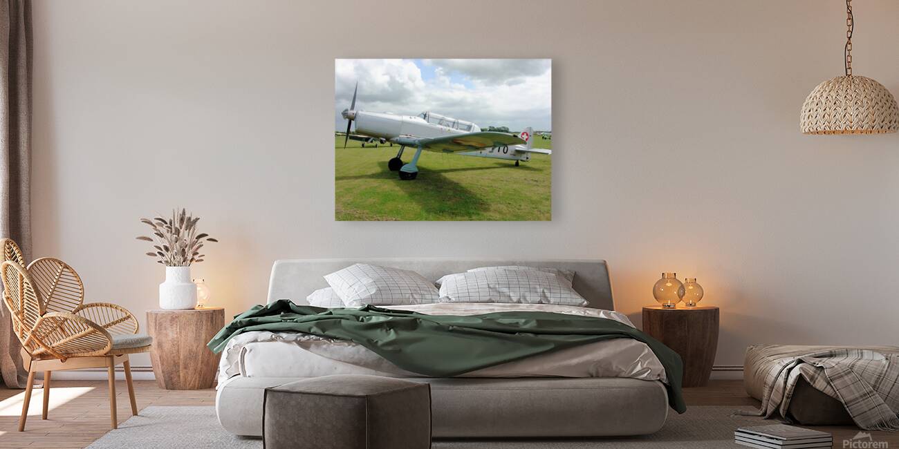 Pilatus P.2 Reproduction