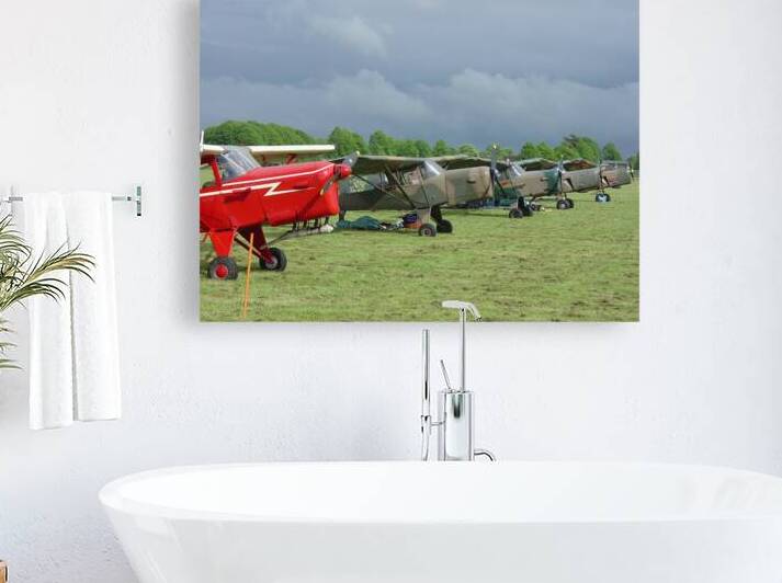 Line of parked Auster aircraft by Ross Sharp