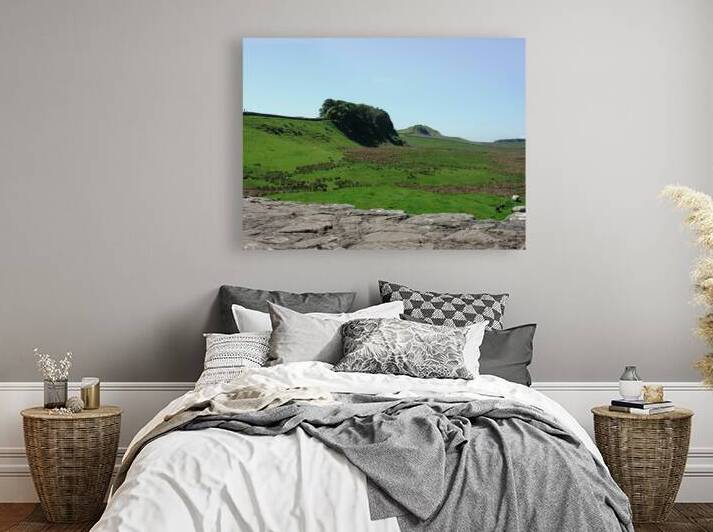 Hadrians Wall near Housteads Fort and Walltown Crags by Ross Sharp