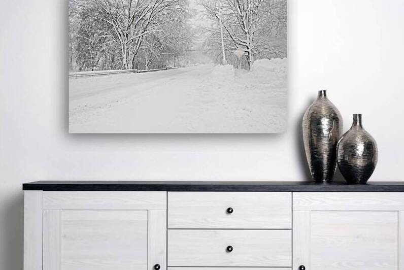 Blizzard Wellesley. Massachusetts by Ross Sharp